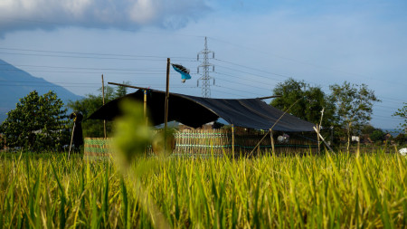 Pondok Sawah