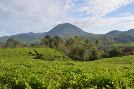 Pemandangan indah di kampung srikandi, desa wanasuka, pangalengan