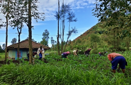 Kampung Suku Tengger