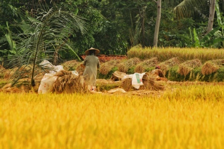 Menjemput rejeki