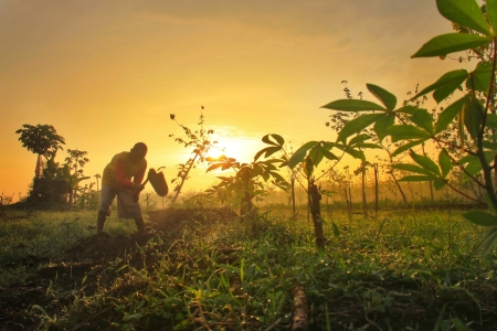 Cangkul Kehidupan