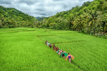 Ledek Tayub Desa Wisata Kleco