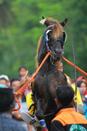 Budaya Khotmil Qur'an