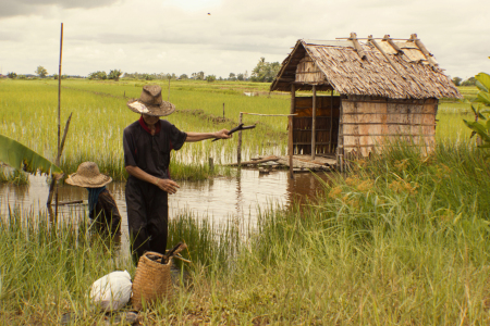 Bukan "orang-orangan Sawah"