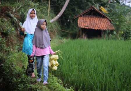 Pagi hari di kampung yang teduh