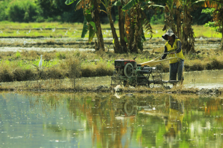 Buruh dan Mandor