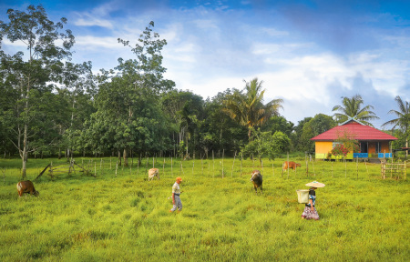 selamat pagi borneo