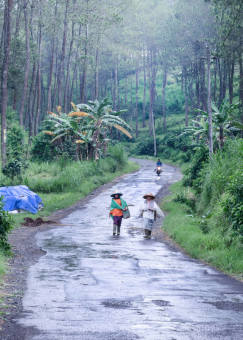 pulang ditengah gerimis