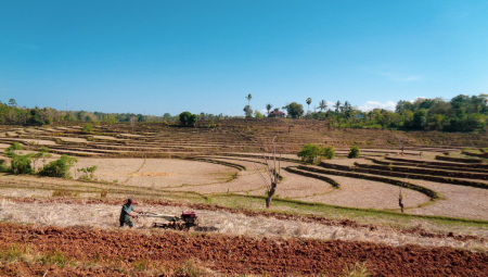 Membajak Sawah