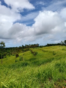 Pemandangan Desa Cikerai