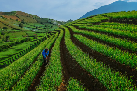 Semangat Petani Panyaweuyan