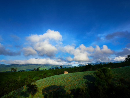 Bukit yang Indah