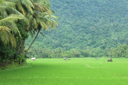 Tanah Subur Sumber Rezeki