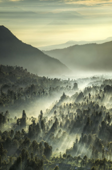 Glory Morning Cemoro Lawang