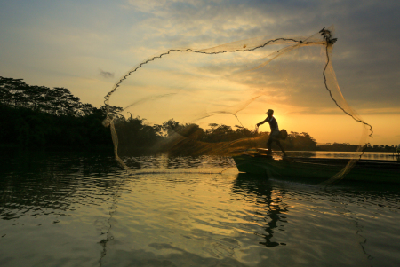 Menjaring Ikan di Sungai Serayu