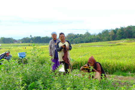 Wanita Tangguh