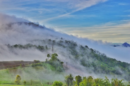 Embun pembawa Harapan