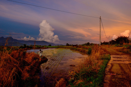 Langkah petani diujung senja