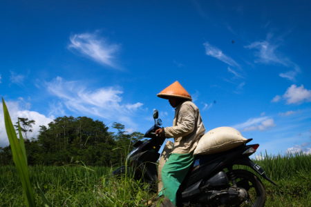 Transportasi Sarana Mobilitas Warga