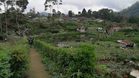 Dedikasi seorang petani