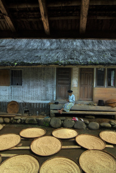 Produktifitas Beranda