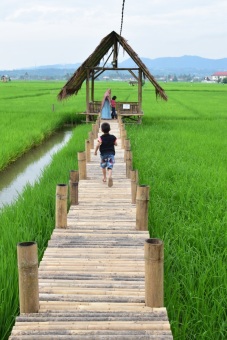 Bermain di dangau