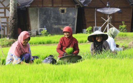 Senyum Ibu Petani di Desa Ciwaru Sukabumi