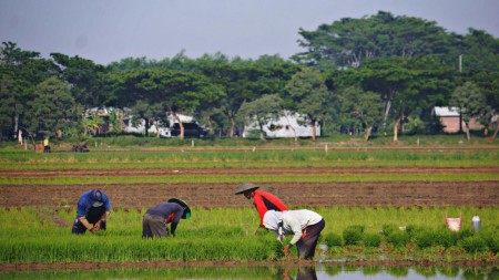 Kegiatan warga desa