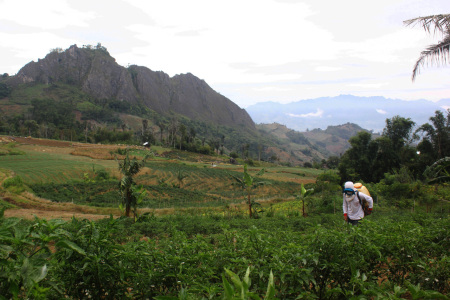 Memupuk ladang