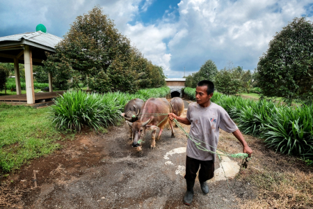 Program Kampung Iklim (ProKlim) Mengangkat Perekonomian Warga