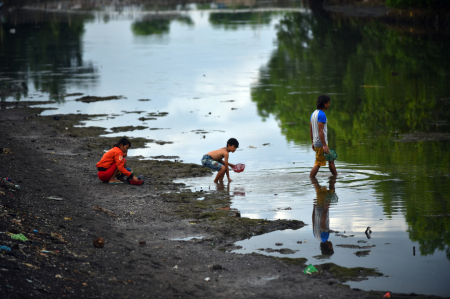 Pemburu ikan