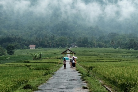 Memulai hari di kaki bukit Menoreh