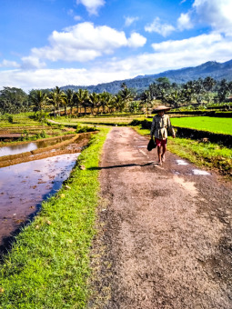 Pantang panas terik