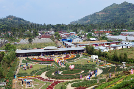 Kebun Desa