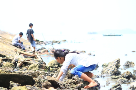 Mencari Cacing di Perairan Ancol, Sibolga, Sumatera Utara
