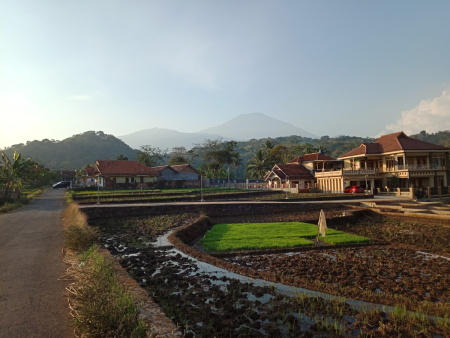 Rumah di tengah tengah pesawahan