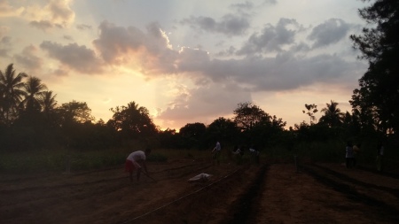 Generasi Milenial..Petani Muda GO