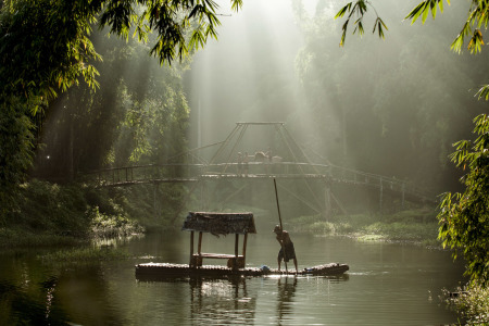 Penjaga Hutan Bamboe