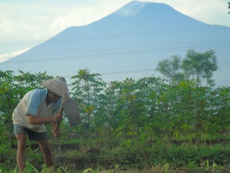 Semangat muda