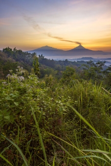 Semangat Pagi Alamku