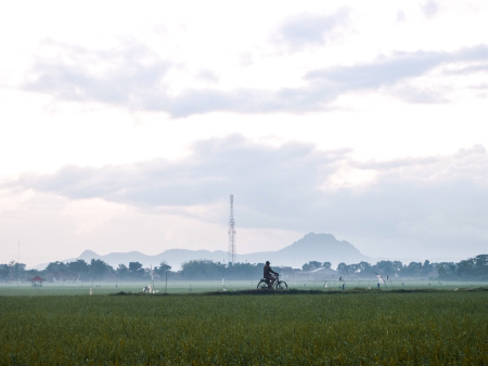 Petani Memulai Hari