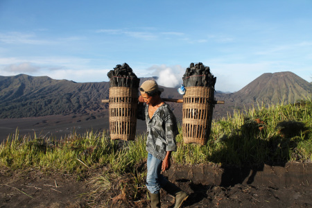 penjual arang dari tengger