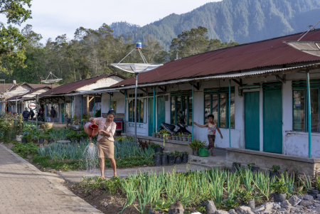 Menyiram tanaman