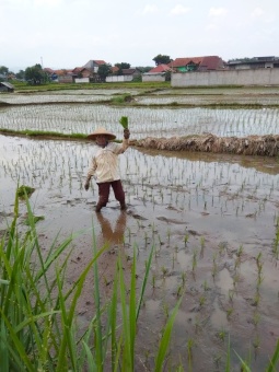 Aku belum mau pulang kendati hujan akan turun