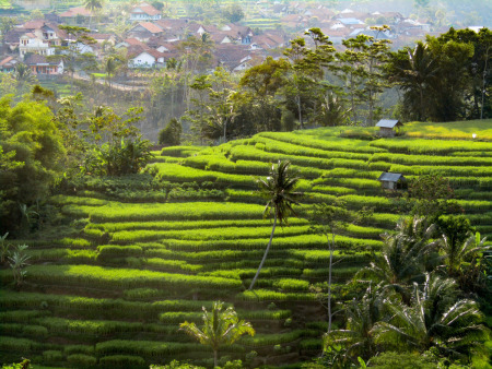 Desa diatas bukit