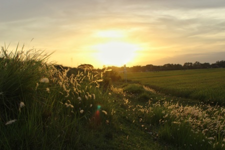 Kota senja, Klaten