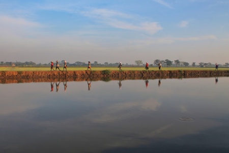 Berangkat Ke Sawah