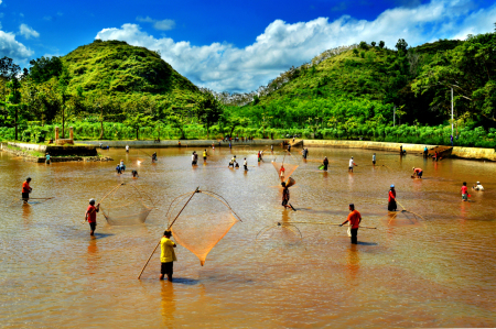 Menjaring Ikan Di Tempat Yang Dangkal