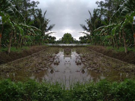 SawahLunto