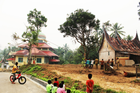 Goro Menebang Pohon